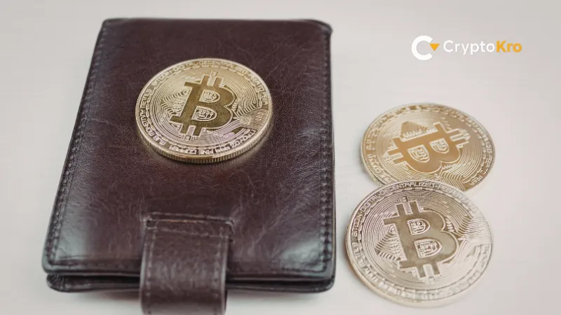 What Is a Crypto Wallet and How Does It Work