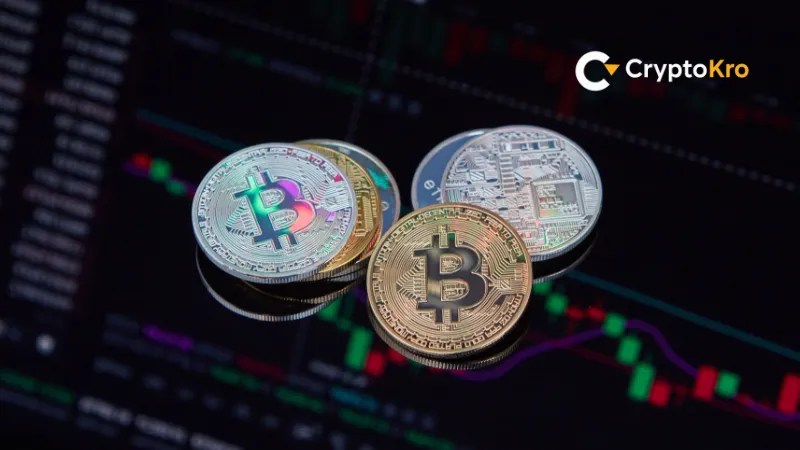 Understanding Crypto Portfolio Allocation for Long-Term Investors