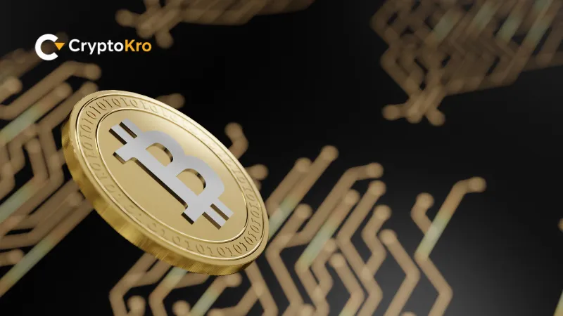 What Is Adrian's CryptoProNetwork Everything You Need to Know