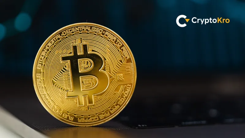 Why You Need a Crypto Mining Profitability Calculator